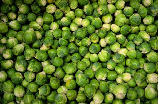 brussels sprouts, vegetables, sprouts-22009.jpg