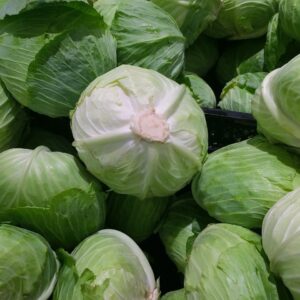 cabbage, water drops, fresh-1666765.jpg