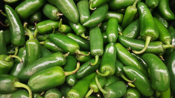 jalapeños, chili, peppers-1320629.jpg