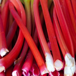 rhubarb, vegetables, food-6155783.jpg