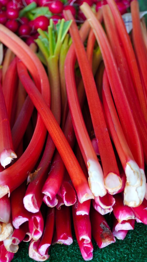 rhubarb, vegetables, food-6155783.jpg