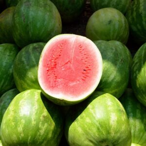 water melon, fruit, sweet-1652093.jpg