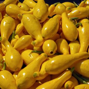 yellow squash, yellow, crookneck-3901440.jpg